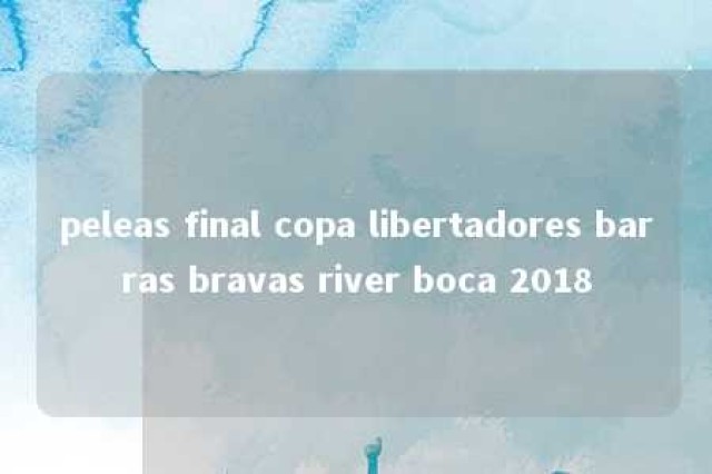 peleas final copa libertadores barras bravas river boca 2018 