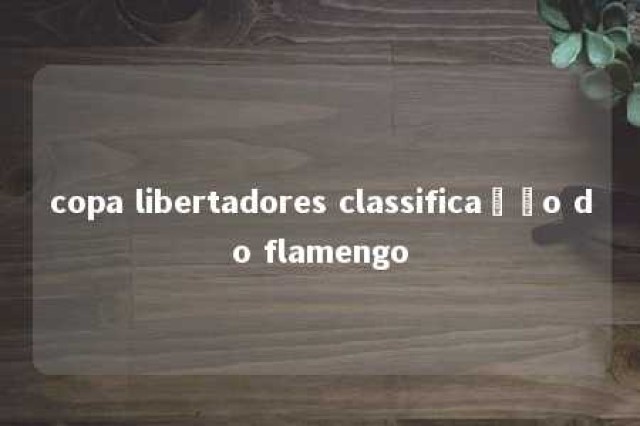 copa libertadores classificação do flamengo 